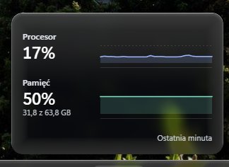 Zrzut panelu z wykresami procesora i pamięci
